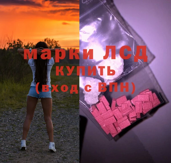 гидра Верхний Тагил