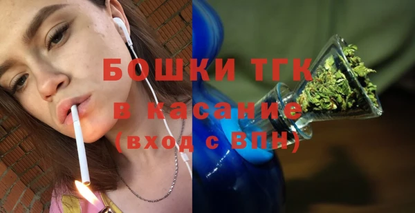 прущие крисы Тайга
