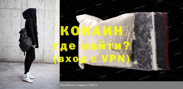 шишки Богородицк
