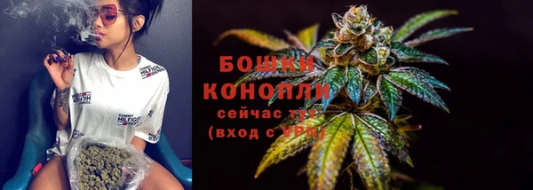 индика Волоколамск