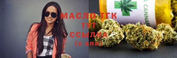 индика Волоколамск