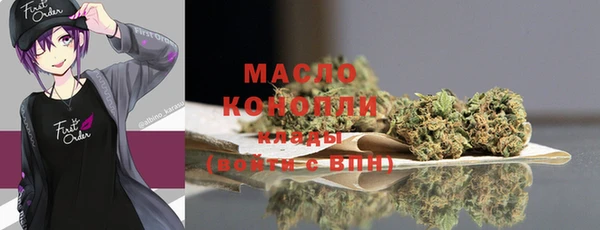 гидра Верхний Тагил