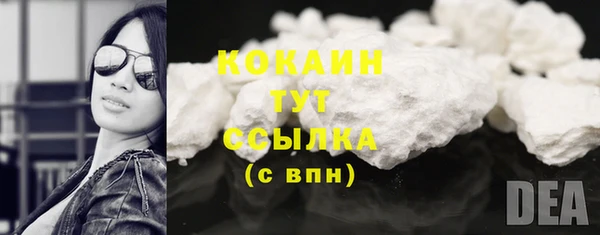 прущие крисы Тайга