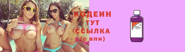 гидра Верхний Тагил