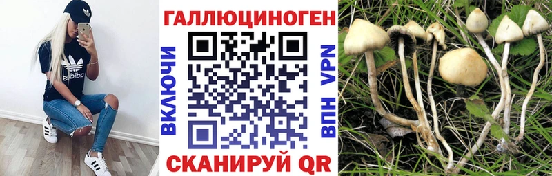 купить наркотик  Ирбит  ссылка на мегу маркетплейс  Галлюциногенные грибы мицелий 